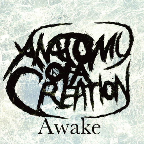 Anatomy Of A Creation : Awake